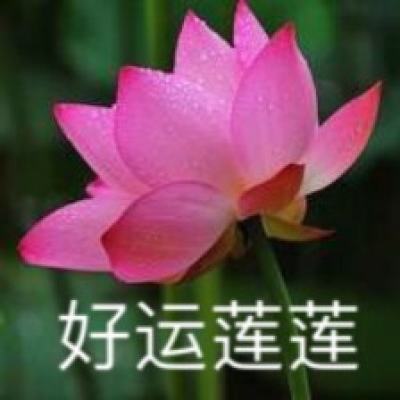 严庆 郭雨晨：关于中华民族共同体理论体系构建的思考
